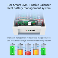 TDT 8S 16S 100A 200A 24V 48V Lifepo4/Na Ion/équilibre cellulaire d'ion de sodium Circuits intégrés Smart LCD RS485 BMS