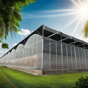 Large Multispan Greenhouse For Agriculture At Low Cost