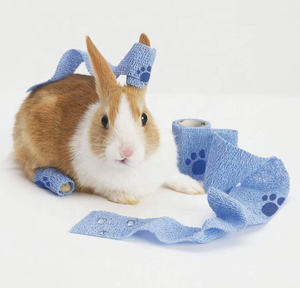 Cinta Vendaje <span class=keywords><strong>Vetrap</strong></span> Bandage auto-adhésif respirant Vet Wrap Bandage cohésif pour animaux de compagnie - Product Image 5