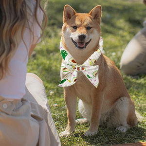 Pañuelo de enfriamiento reutilizable para mascotas, bufanda de hielo, el cuello para envoltura para perros y gatos, <span class=keywords><strong>collar</strong></span> de enfriamiento rápido para exteriores de verano - Product Image 2