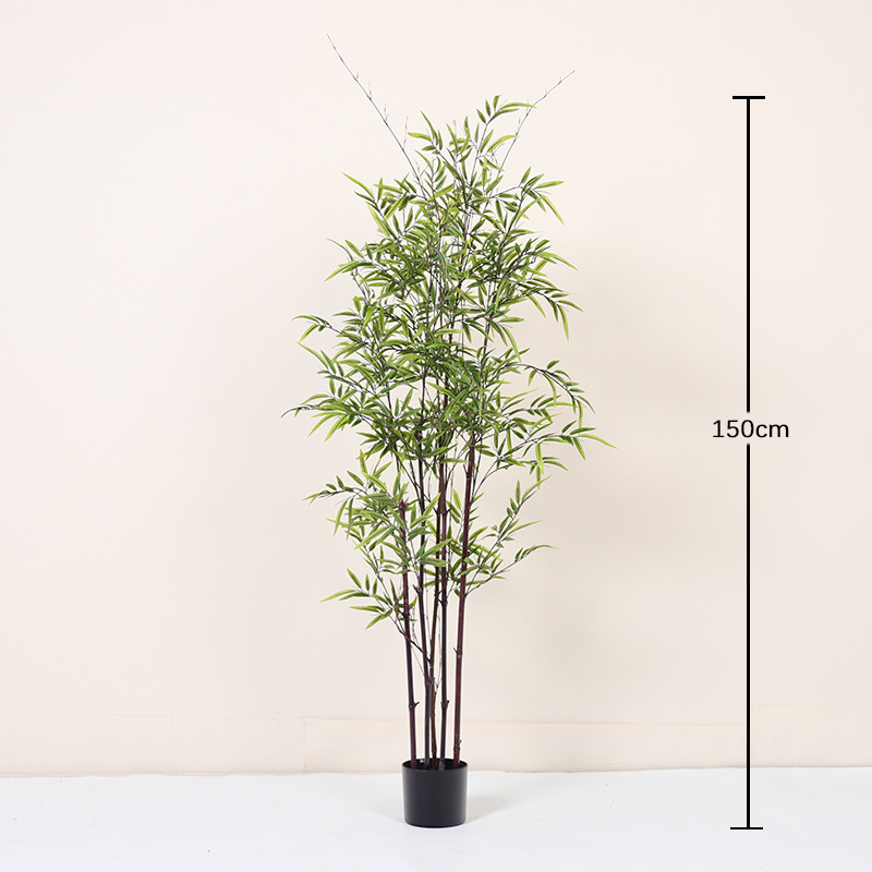 Purple stem bamboo 150cm