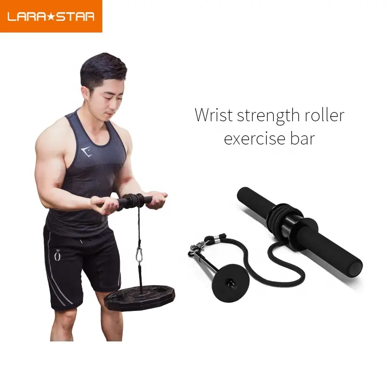 Forearm Wrist Blaster Gym Fitness Equipment Pulley Wrist Roll Arm Blaster Trainer With Pulley Triceps Extensions