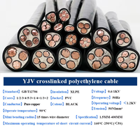 4-adriges Kupferband-abgeschirmtes PVC-ummanteltes Stromkabel Niederspannungs-YJV YJV22 STA Xlpe-isoliertes gepanzertes Kabel