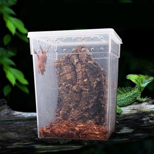 Boîte et enclos pour <span class=keywords><strong>reptiles</strong></span> en plastique respirant 20x20x25cm Écologique et durable pour les <span class=keywords><strong>reptiles</strong></span> - Product Image 5