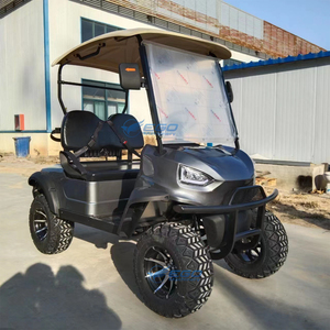 Voiturette de golf 2025, petite voiturette de golf électrique, mini-voiturette de club, 2 places, batterie au lithium, buggy côte à côte, homologuée pour la route - Product Image 4