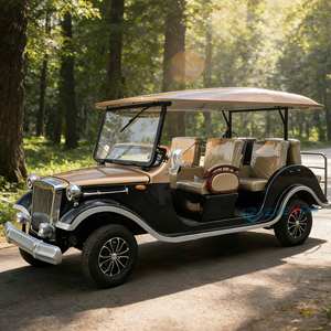 Auto Clásico Negro Convertible, Alta Calidad, Venta Directa de Fábrica en China, Nuevo, Económico, Clásico Vintage de 72V - Product Image 1