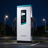 Chargeur DC pour véhicules électriques 60kW-160kW à double connecteur, station de charge rapide avec écran LCD, arrêt d'urgence, IP54, pour utilisation en garage public