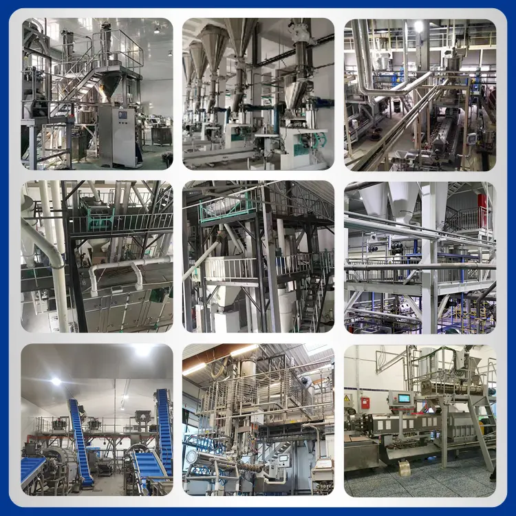 Industrial Scale 1Ton/H Pet Dry Dog Cat Food Production Processing Line