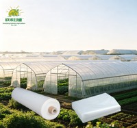 Film de serre 200 microns pour pépinière, couverture plastique transparente anti-buée pour favoriser la croissance saine des plantes