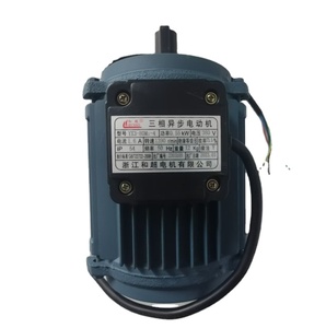 มอเตอร์แม่เหล็กถาวรแบบแปรงถ่าน HECHAO รุ่น YX3-80M1-4 DC 36V-1500V ได้รับการรับรองมาตรฐาน ISO9001 สินค้าใหม่ของแท้ - Product Image 1