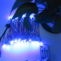 Guirlande lumineuse LED à pixels en gros, RGB, pleine couleur, programmable, module LED DC12V WS2811, étanche, lumières de Noël intelligentes à pixels