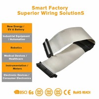 Kabel Harness Konektor JST Kustom Pabrik dengan Kabel FFC Fleksibel untuk Koneksi Kontrol Gerak Sensor Industri