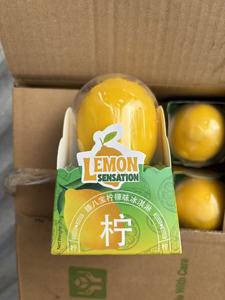 LIKLAK Gelato di <span class=keywords><strong>Alta</strong></span> Gamma Più Popolare 75G*12pz Conservazione Congelata Durata 18 Mesi Gelato al Gusto Vegetale - Product Image 5