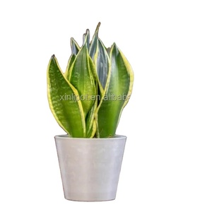 PRECIO BARATO MACETAS <span class=keywords><strong>DE</strong></span> JARDÍN EXTERIOR MACETA <span class=keywords><strong>DE</strong></span> PLÁSTICO VENTA CALIENTE - Product Image 4