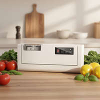 Mini Scelleuse Alimentaire Sous Vide Portable en Acier Inoxydable, Machine Automatique de Scellage de Sacs Plats pour Cuisine Domestique