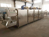 GRT 3 couches 5 couches multicouches continues Mesh belt dessiccateur pour briquettes et chips de pommes de terre chili
