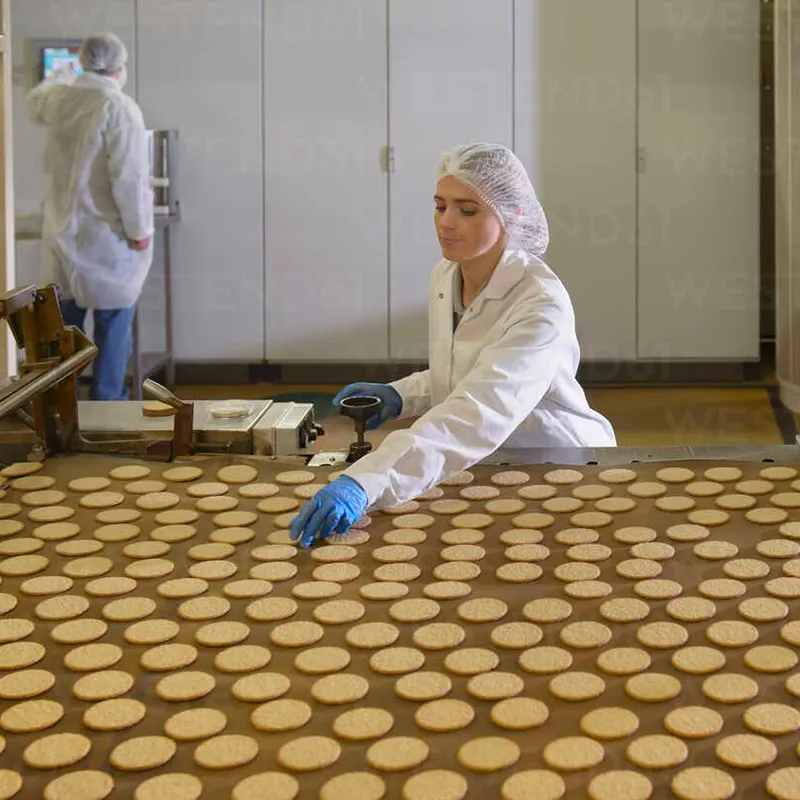 Línea de proceso de galletas completamente automática, máquina para hacer galletas y embalaje, máquina para hacer galletas de trigo