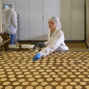 Linea di processo di biscotti completamente automatica macchina per la produzione di biscotti e confezionatrice per cracker di biscotti di grano