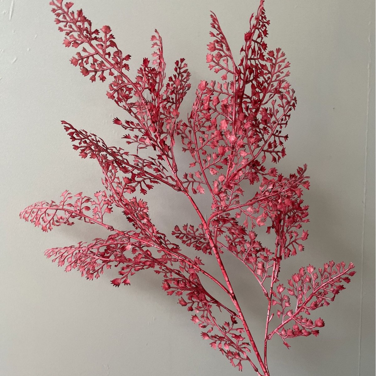 Vino rojo Milán hoja