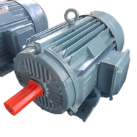 Moteur électrique asynchrone triphasé haute efficacité IE5 300W 220V 750W 60Hz, modèle YE5, enroulement 100% cuivre