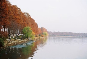 ฟิล์มสี CN400 Pro Max ใหม่ 135 มม. <span class=keywords><strong>36</strong></span> ภาพ ฟิล์มเนกาทีฟสี 35 มม. C41 แบบม้วน - Product Image 6