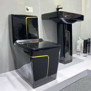 Modern One Piece Floor Mounted <strong>Toilet</strong> Set with Dual-Flush S-Trap <strong>Black</strong> Gold Ceramic <strong>Toilet</strong> for Hotel Use - Product Image 3