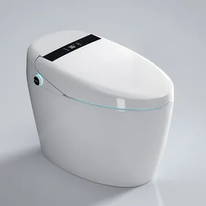 现代卫生洁具自动坐浴盆马桶智能自动冲水智能马桶