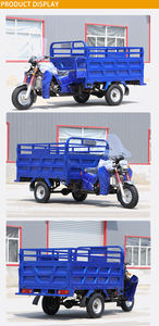 신형 가솔린 모터사이클 삼륜차 인기 성인용 오토바이 <span class=keywords><strong>150CC</strong></span> 175CC 200CC 가솔린 화물 삼륜차 판매 - Product Image 2