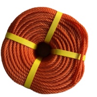 Vente en gros de cordes tressées en nylon de 6mm 7mm 8mm 10mm Cordon PP/Polyester/Nylon Cordon tressé en PE