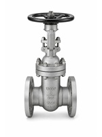 Vanne à opercule industrielle en acier au carbone DN50 2 pouces Classe 300 ASTM A216 WCB à bride avec volant pour système eau et huile