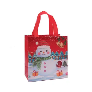 Hot Sale Reusable Waterproof Handle Laminated Pp Shopping Bag Polypropylene Pp non Woven Bag