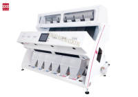 Machine de tri de grains et de céréales Jinchengxin à 6 canaux avec caméra CCD, haute efficacité, capacité de 4-10T/H, certifiée ISO, à prix avantageux