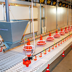 Автоматическая система кормления кур-бройлеров: шнековый привод, мотор из нержавеющей стали, бункер из полипропилена - Product Image 1