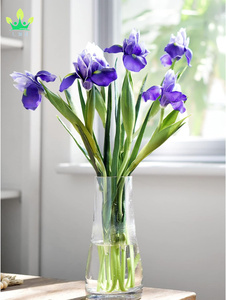 <span class=keywords><strong>Iris</strong></span> artificiel fleur mariage mariée maison cuisine fête décor réel toucher longues tiges véritables arrangements <span class=keywords><strong>violet</strong></span> <span class=keywords><strong>violet</strong></span> - Product Image 6