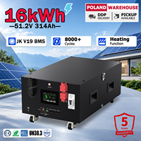 Stock UE Powerbrick Max 16kWh Hybride 51.2V 314Ah Batterie Lithium Fer Phosphate JK V19 BMS pour Système Solaire Stockage d'Énergie Domestique