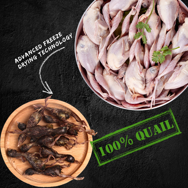 Can Dogs Take Vitamin B6