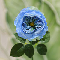 Rose artificielle Juliette faite à la main, toucher réel, pour cérémonie de mariage, décoration intérieure, longue durée, Saint-Valentin, Nouvel An