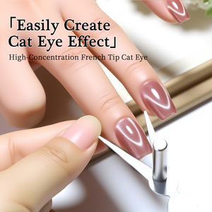 En gros Nouveaux ensembles d'aimants pour ongles double tête effet œil de chat et French pour le nail art DIY - Product Image 4