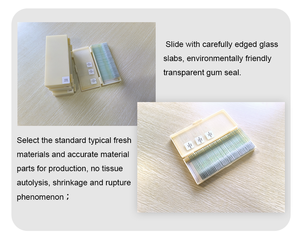 Lámina de Preparación Histopatológica para Muestras de Tejido Humano, Preparación de Muestras Médicas y Geológicas - Product Image 2