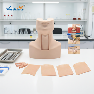 Modelo Avanzado de Entrenamiento para Punción Cricotiroidea e Intubación de Traqueotomía - Modelo Anatómico de Ciencia Médica de Silicona/PVC - Product Image 6