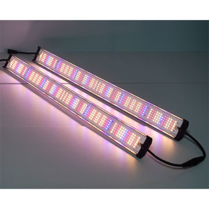 Cinta de tira de luz <span class=keywords><strong>LED</strong></span> para <span class=keywords><strong>cultivo</strong></span> de Phyto Lamp de espectro completo para semillas de invernadero de interior <span class=keywords><strong>Cultivo</strong></span> Flor de planta hidropónica - Product Image 3