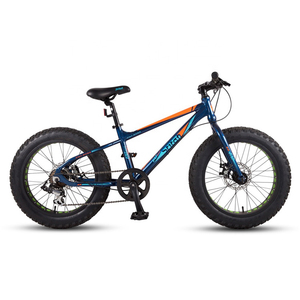 Pour vélo de montagne pour hommes de 20 pouces, pneus larges, frein à disque, fourche en acier - Product Image 2