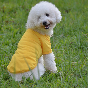 Cat Custom Wholesale Plain Blank <strong>T</strong> <strong>T</strong>-<strong>shirt</strong> Polo Pet <strong>Dog</strong> <strong>Shirt</strong> <strong>for</strong> <strong>Dogs</strong> - Product Image 6