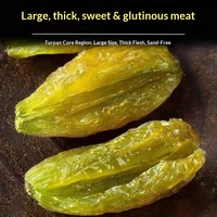 Raisins secs sucrés sans pépins en gros, fruits secs AD, 500g, emballage sous vide, extra grands, verts LuENang de Xinjiang Tulufan