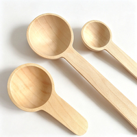 Cuillère en bois biodégradable et écologique 1ml 5ml 10ml 15ml, couverts en bois naturel, style moderne, cuillère à café, cuillère à condiments