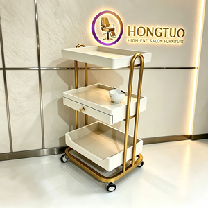 Chariot de luxe léger haut de gamme Z pour salon de beauté, chariot de gestion des soins cutanés avec étagère de rangement en bois, chariot à outils en métal et plastique - Product Image 1