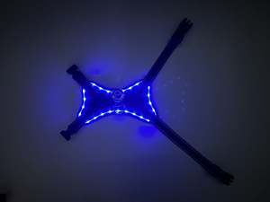 2024 नई शैली के कस्टम लोगो का नेतृत्व पालतू जानवरों का उपयोग करके उपयोगी रंगीन प्रकाश रात सुरक्षा चमकदार कुत्ते की दुकान - Product Image 4