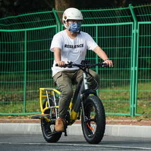 Vélo <span class=keywords><strong>cargo</strong></span> électrique à longue queue, vélo <span class=keywords><strong>cargo</strong></span> de 48V, vélo <span class=keywords><strong>cargo</strong></span> électrique à double batterie de 17,5 ah, vélo <span class=keywords><strong>cargo</strong></span> électrique familial à gros pneus, au prix d'usine - Product Image 5