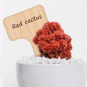 30 पीसी बांस लकड़ी धातु प्लास्टिक फिनिश संयंत्र लेबल टी-प्रकार मार्कर गार्डन पोटेड पौधों ग्रीनहाउस सहायक उपकरण 10x6 - Product Image 3