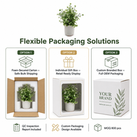 Petite plante en pot de chrysanthème réaliste, décoration moderne, petite plante de bureau en plastique faite à la main, design durable, tendance